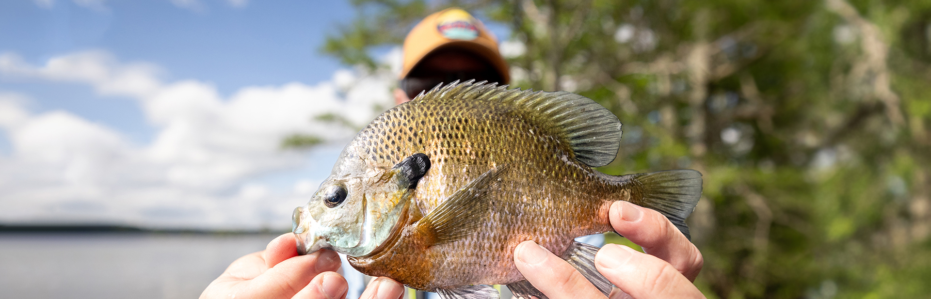 Fishing and Boating Guide Kentucky Department of Fish & Wildlife